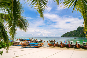 Traditional longtail boats parking on the beach with coconut palm tree frame in Phi Phi island Krabi Province Beautiful island in andaman sea.