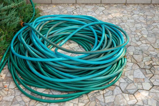 The garden hose is folded on the ground