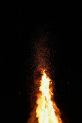 Fuego de madera en Fiesta en el bosque Rumania, quemando madera