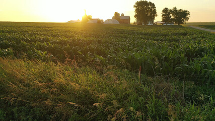 Aerial view of American countryside landscape, farmland. Rural scenery, farm. Sunny morning,...