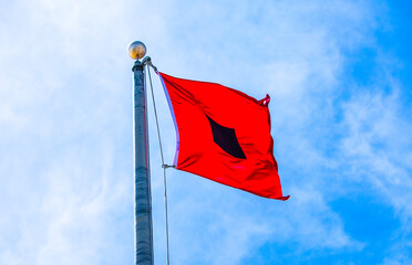 Hurricane Flag © Penny Britt