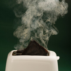 Smoke emerging from a burnt toast in toaster