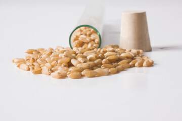 Close-up of wheat in a test tube