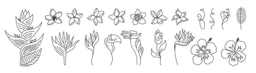 Exotic flowers cartoon set. Tropical botanical bright floral flat plants. Wild flowers collection. Hawaiian hand drawn color jungle. Plumeria, heliconia and strelitzia. Vector illustration