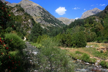 Fototapeta na wymiar Colores en el lago y la montaña. Embalse de La Sarra. Sallent de Gállego. Huesca. Pirineos