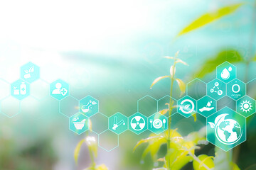 Agriculture and technology abstract concept, Futuristic ai virtual icons with Sustainable energy, Alternative medicine, Natural herbal remedies, on Free space Blurred gentle artistic nature background