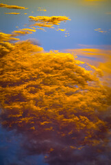 Sunset sky for abstract natural background. Beautiful color, blue and orange clouds in the sky. 