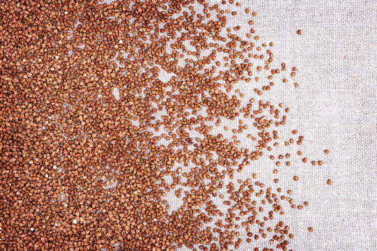 Cereal Buckwheat background on sack cloth surface with copy space. Rich harvest. Healthy food. Natural organic grain.