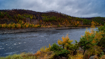 Autumn nature on the banks of the Viluy river in cloudy weather.