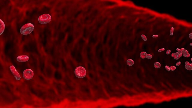 blood cells red tube tunnel loop animation