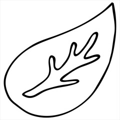 cute leaf boho style, coloring book, vector element, drawing for children by hand