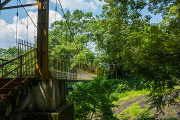 hanging bridge