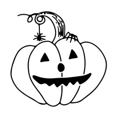 A funny pumpkin for Halloween with two spiders, one of which slides on a string.  Vector.  Doodle style in black outline on a white background.