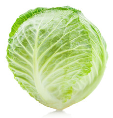 Fototapeta premium cabbage isolated on white background.