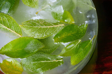 Piece of ice with leaves of a fresh green plant frozen inside lies on a white plate on a gray and blue background