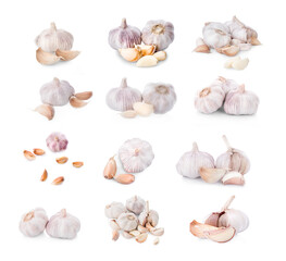 Garlic isolated on white background