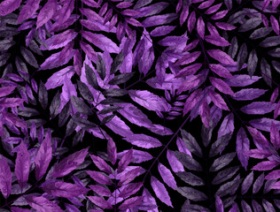 Vector background image of lilac and purple foliage on a black background. Cartoon style. EPS 10
