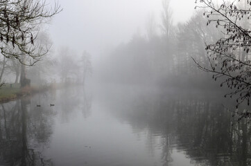 Fototapeta na wymiar fog on the river