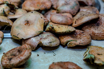 mushrooms on the table