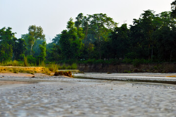 Nature river and forest combination