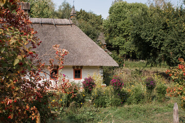 old thatched cottage in the forest