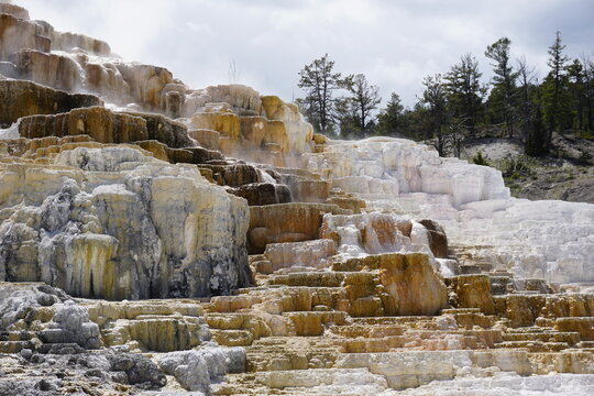 Mammoth Hot Springs in Yellowstone National Park