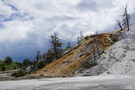 Mammoth Hot Springs in Yellowstone National Park