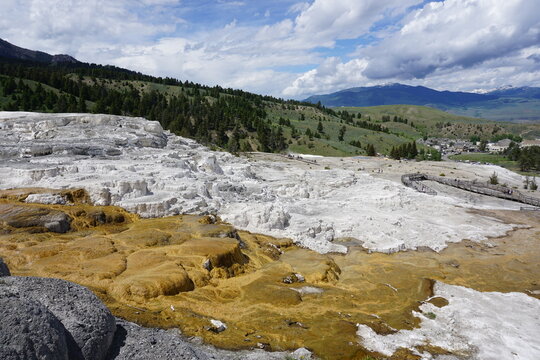 Mammoth Hot Springs in Yellowstone National Park