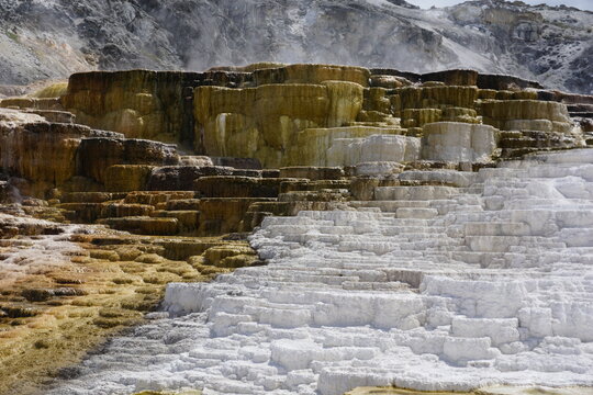 Mammoth Hot Springs in Yellowstone National Park