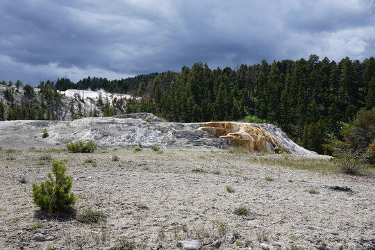 Mammoth Hot Springs in Yellowstone National Park