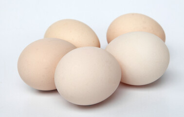 eggs on white background