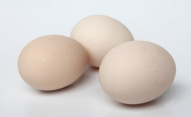 eggs on white background
