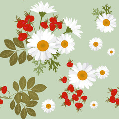 A seamless pattern with chamomile flowers and dogrose.