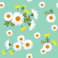 Fototapeta premium Seamless vector summer illustration with field daisies and dandelions.