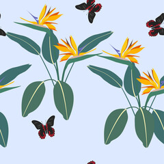 Seamless vector illustration with tropical flowers strelitzia and butterflies