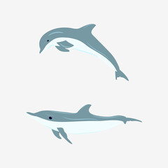 Obraz na płótnie Canvas Vector illustration of dolphins