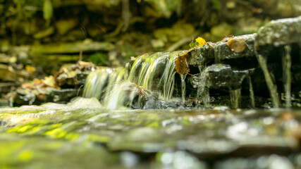 a small rapid river flows through dolomite rocks, long-term exposure, gentle and fuzzy river water, colorful autumn leaves and dry branches water