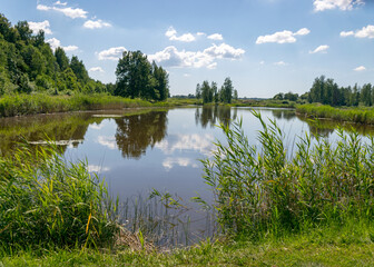 summer landscape by the lake, reeds and grass in the foreground, calm lake water, beautiful reflections in the water, summer