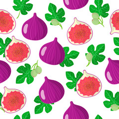 Vector cartoon seamless pattern with Ficus carica or Figs exotic fruits, flowers and leafs on white background