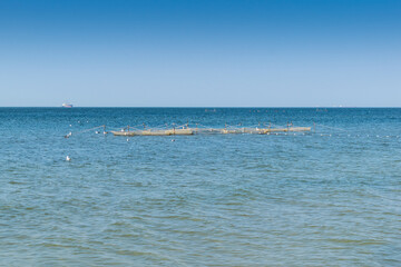 Oyster farm at sea