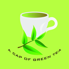 White Cup of green tea, sprig of green tea on a green background with an inscription, vector illustration