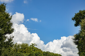 青空と新緑と雲