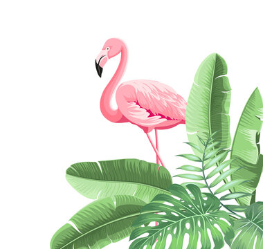 pink flamingo tropical leaves white background clip art preview