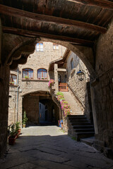 Fototapeta na wymiar Viterbo Italy: Medieval quarter of San Pellegrino