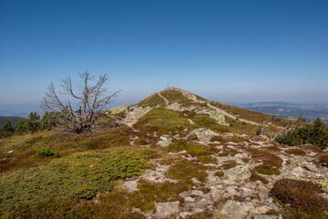 Fototapeta na wymiar View of Mount Mezenc from a hiking trail