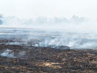 On the field after harvesting grain crops burning stubble and straw. Factors causing smoke in...