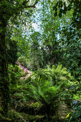 Fototapeta premium Garden and park in the vicinity of Montserrat Palace. Lovely romantic palace and park ensemble in Sintra, Portugal - Montserrat Palace.