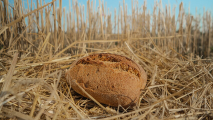 Tasty bread in wheat field. Homemade baking concept. Fresh baked bread on hay background. Wheat...
