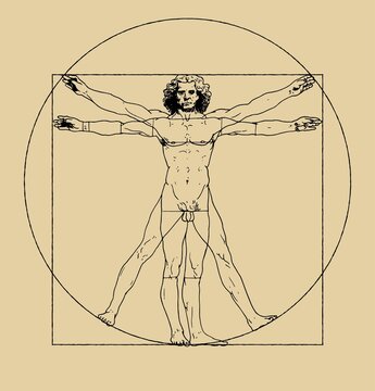 Vitruvian Man drawing by Leonardo da Vici. Clean vector illustration of famous drawing. Vintage scheme of proportions of human body.