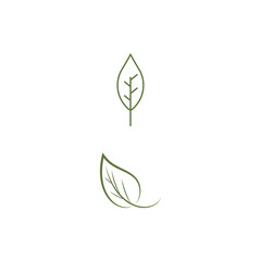 Leaf line icons vector leaves logo design